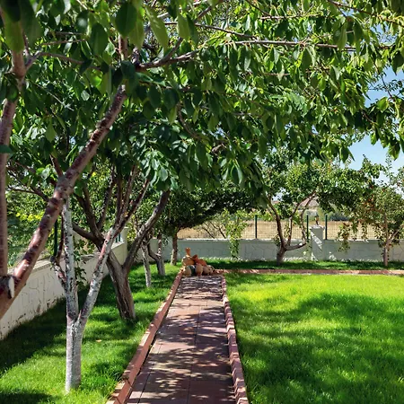 Cappadocia Comfort Nevşehir