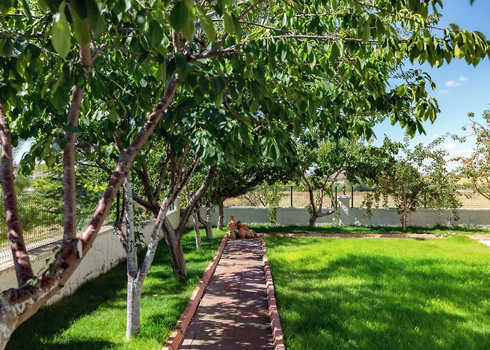 Cappadocia Comfort ネヴシェヒル